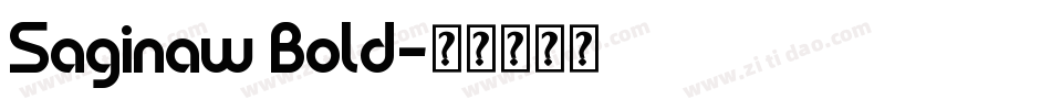 Saginaw Bold字体转换